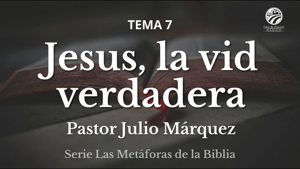 Jesús, la Vid verdadera
